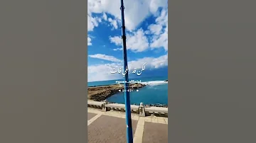 رضا عدى العمر 