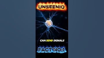 Your Brain 🔥 Your Brain Is Faster Than You Think! 🧠⚡ #Shorts Faster| #shorts