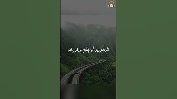 ما تيسر من سوره المائده