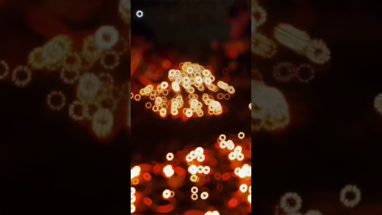 Ram mandir crand ceremony 