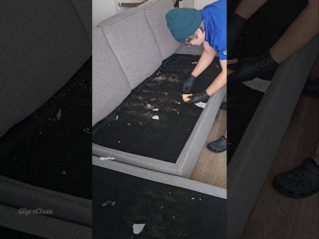 Under the cushions.  sofa cleaning