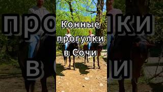 ПОЛНЫЙ ВЫПУСК НА КАНАЛЕ - «Конные прогулки в Сочи» #конныепрогулки
