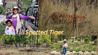 Male Tiger Spotted at Pench l Tiger Safari l Pench National Park l Turiya Gate l Khursapar Gate