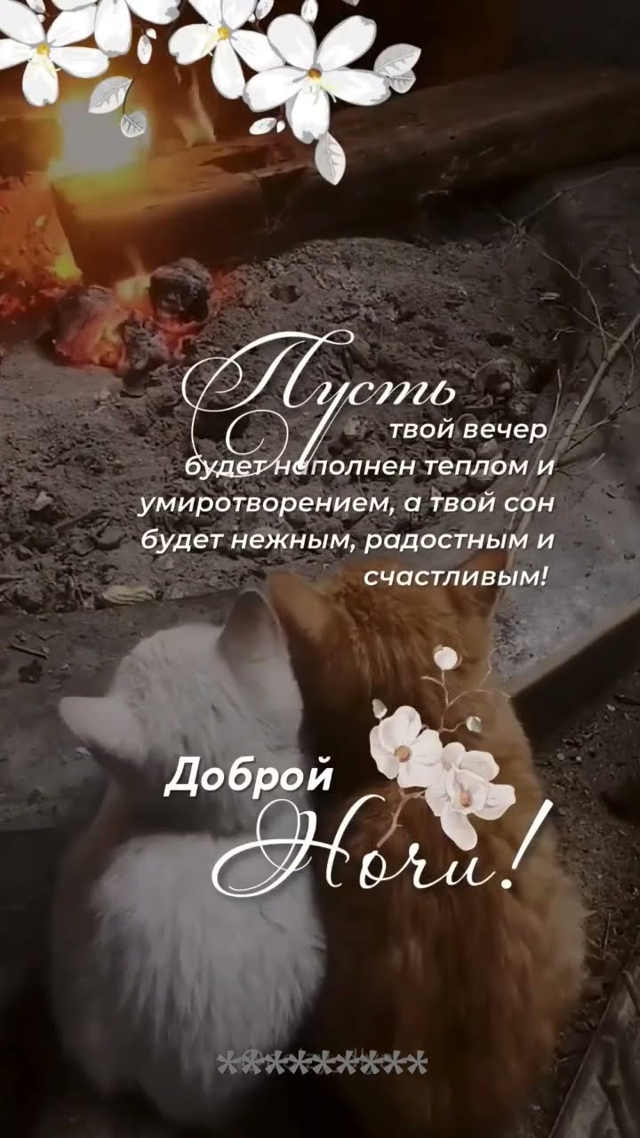 Любви, тепла и умиротворения вам, мои любимые💕Доброй ночи🌺Завтра ...