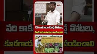 వరి పంట కి బదులు పండ్ల తోటలు పెంచాలి #revanthreddy