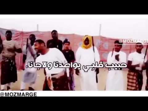 زومال جميكا وأشرف هوساوي