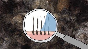 Stop using shampoo #storyhopper
