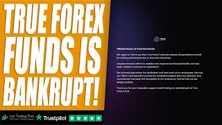 True Forex Funds has gone bankrupt. Virtual prop firms are not safe anymore.