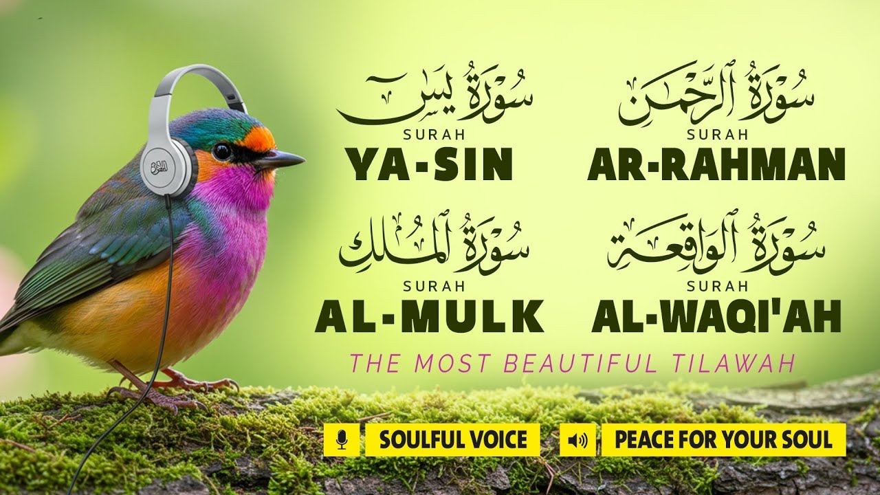 মন জুড়ানো চারটি সূরা | Surah Ar-Rahman | Yaseen | Waqiah | Mulk | Quran Tilawat\ by Zain Abu Kautsar