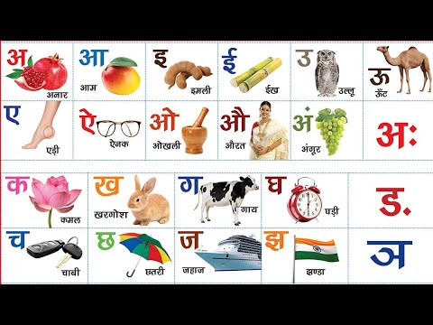 वीडियो: ¿पोर क्यू टेंगो क्यू वकुनार एमआई मेस्कोटा?