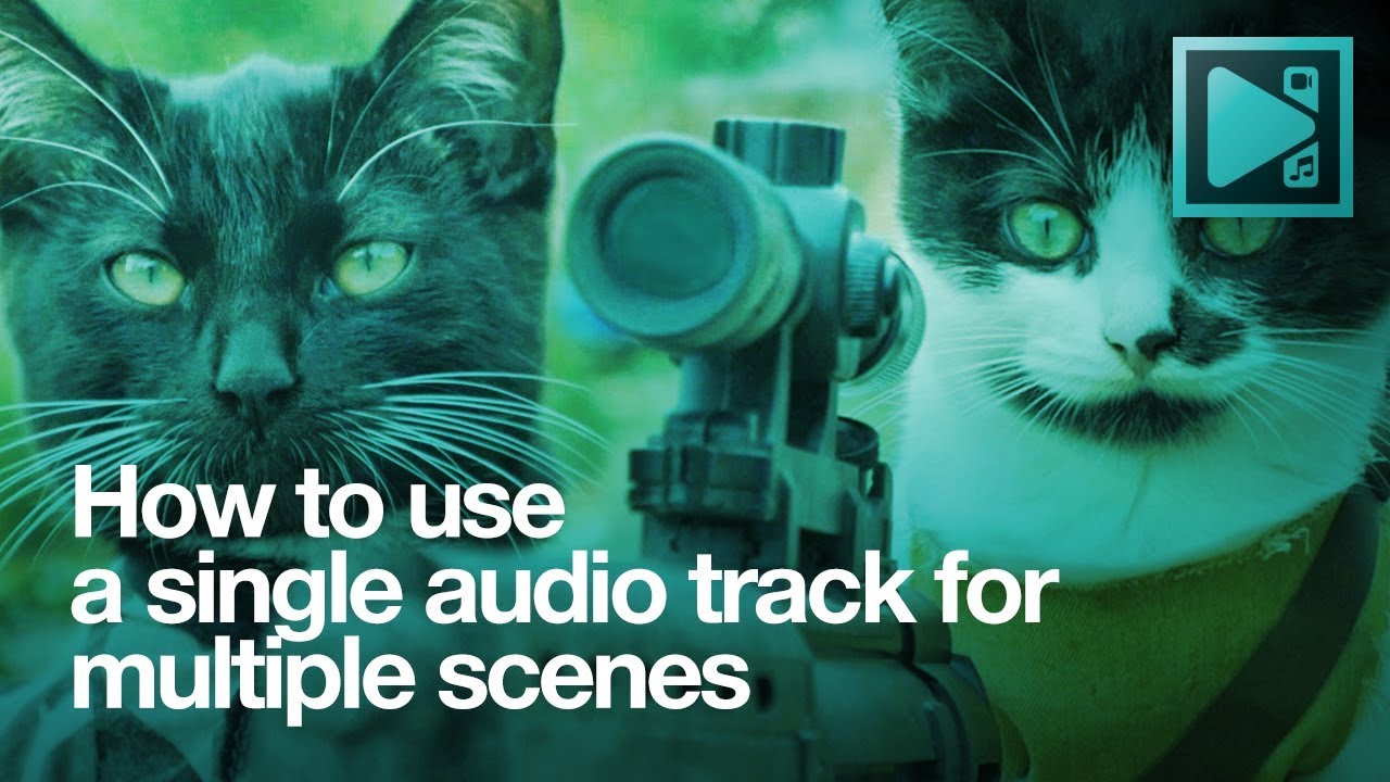 Lifehack: add one audio track to multiple scenes in VSDC Free Video Editor