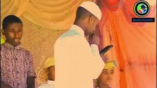 Nashiidaa Haaraya Afan Oromo Dhaloota Abdii Arraa