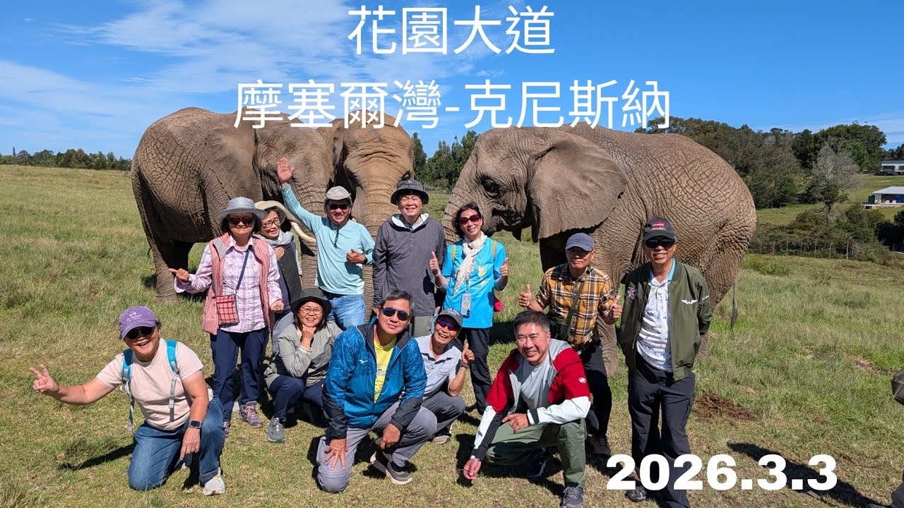 和平船122回 南非花園大道 摩塞爾灣-克尼斯納 2026.3.3