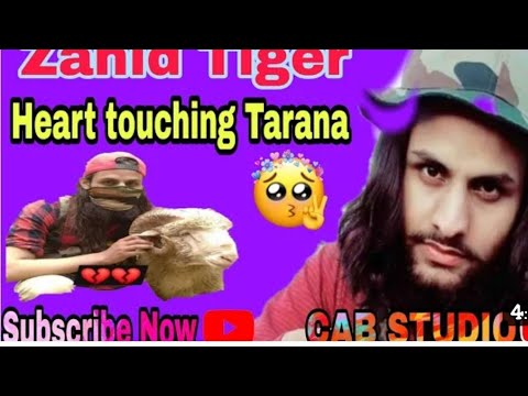 Zahid tiger Pulwama  tribute 