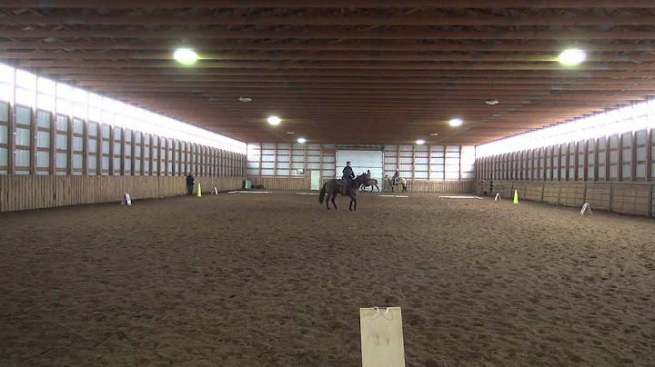 Heather Chappel   Level 1 Test 1 2nd go