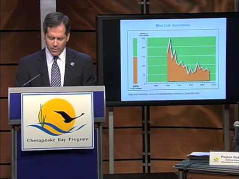 Peyton Robertson - Bay Barometer 2008 News Confere...