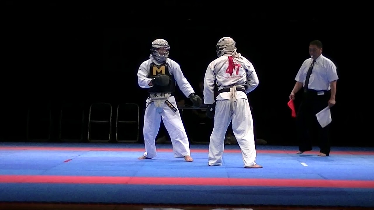 2019 全日本拳法個人選手権大会 男子の部 決勝戦 木村VS芳賀