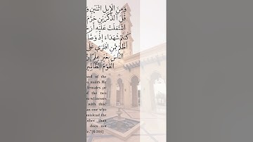 رعد الكردي - سورة الأنعام 142 - 147 Raad Al kurdi Surah Al An'aam