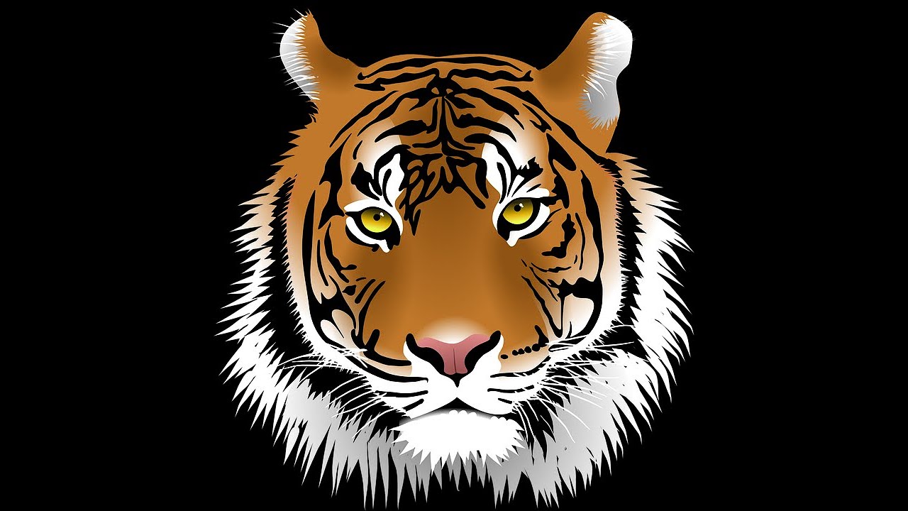 to West Hoke Middle School! YouTube