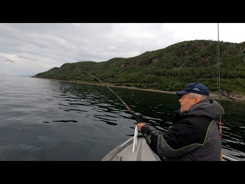 Kuidas ma lätlastega Norras kalal käisin