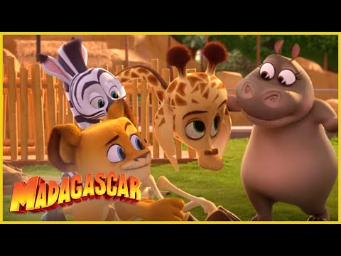 DreamWorks Madagascar en Español Latino | Vamos a animar a Melman! | | Madagascar: Algo Salvaje