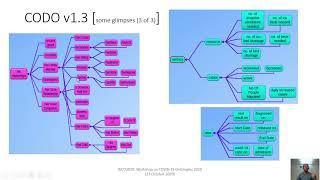 CODO: An Ontology to Capture Data on the Covid-19 Pandemic