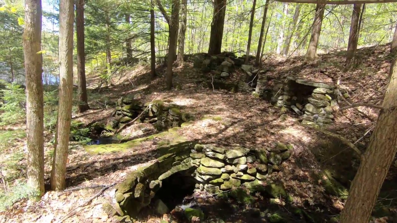 The Wee People's Home in the Forest Mt. Ephraim, VT YouTube