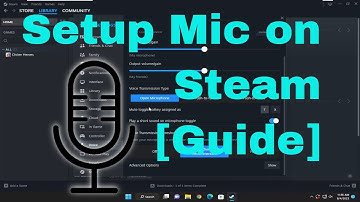 How to Setup Microphone on Steam [Complete Guide]