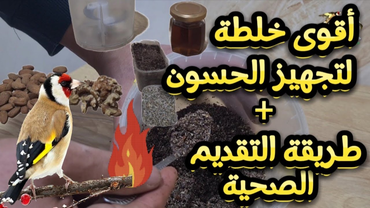خلطة تجهيز الحسون | سهلة التحضير | #طيور #الطبيعة #birds #nature