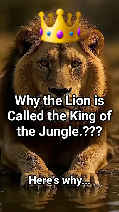 Why the Lion is Called the King of the Jungle 🦁  #animals #facts #shorts #viralshorts