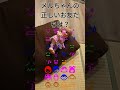 メルちゃんの正しいお友だちは?どこか!!5pjamwtjmwujmytpjdmxtuknadmjxpbdnxpjakgjbnulnjado
