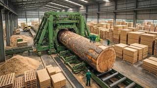 Inside The Largest Pine Wood Sawmill Factory - How Pallets & Particle Board Are Made For Furniture