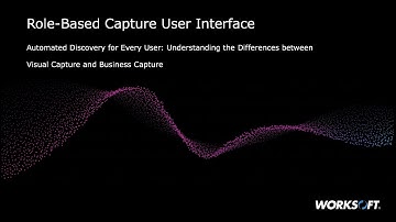 Worksoft Capture - Understanding the Difference Between Visual and Business Capture.
