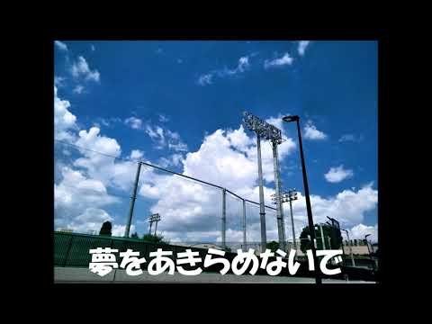 【音リンピック】夢をあきらめないで（岡村孝子、カバー）