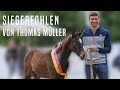 Ein Siegerfohlen von Thomas Müller ⚽️🐎 | Hengstfohlen von Va Bene x Charmeur 🤩