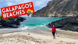 Most Beautiful Beach in the Galapagos? | Day 3 GALAPAGOS CRUISE screenshot 5