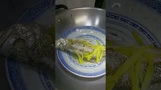 Steam Fish #croaker #short