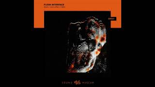 Flesh Interface - Collapse