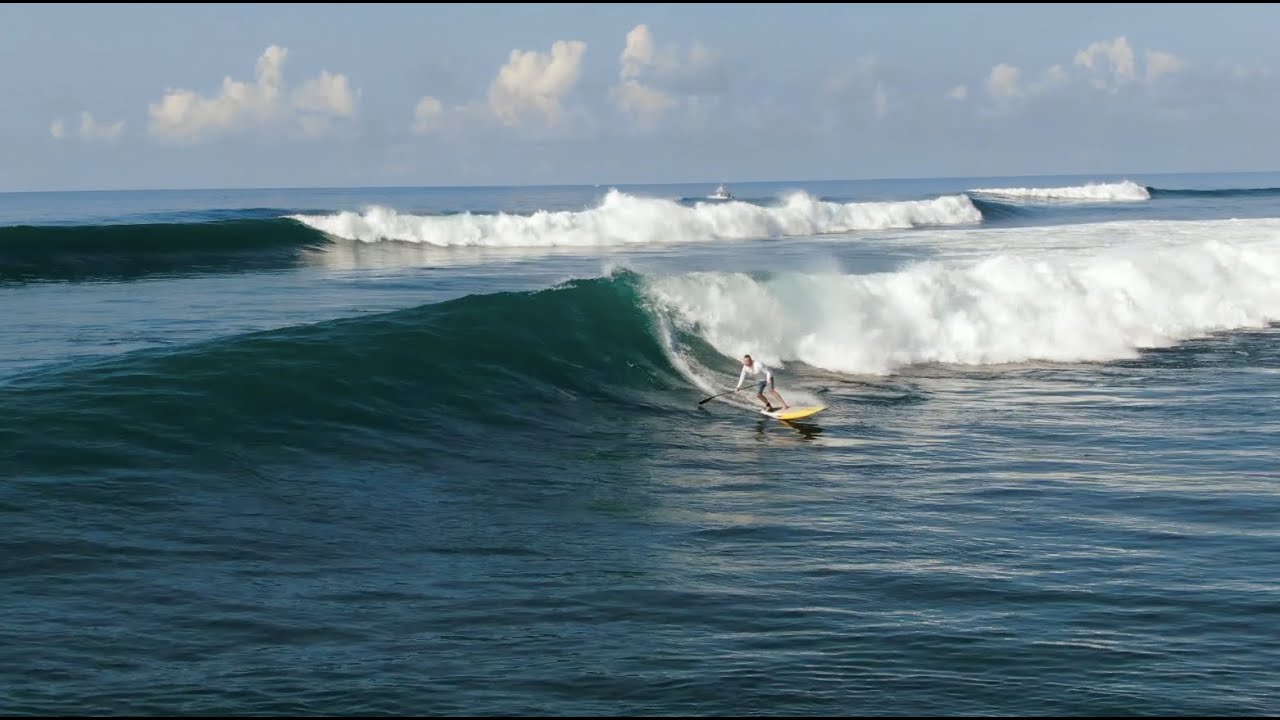 Blue Zone Stand Up Paddle Surf Retreat Nosara, Costa Rica March 11 18, 2023 YouTube