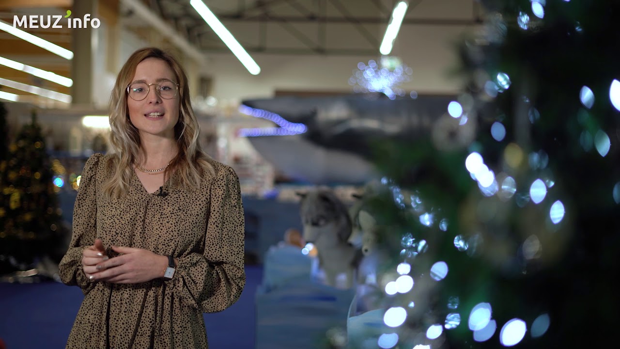 L’Antarctique s’invite chez Bricomarché Bar-le-Duc