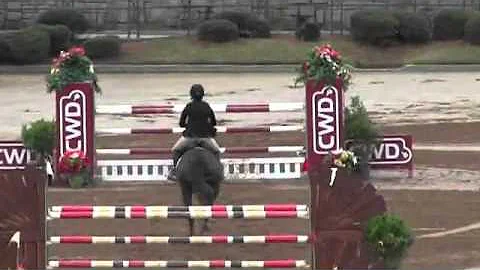 Video of HAMIRO ridden by JULIA CURTIS from ShowNet!