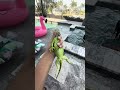 Caught an Iguana in My Pool 🦎 The Florida Living Nobody Talks About #Shorts