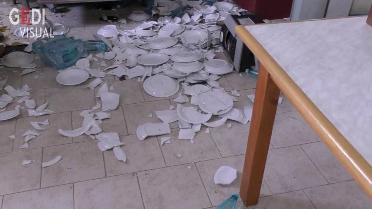 Animalisti devastano circolo cinofilo a San Cesario