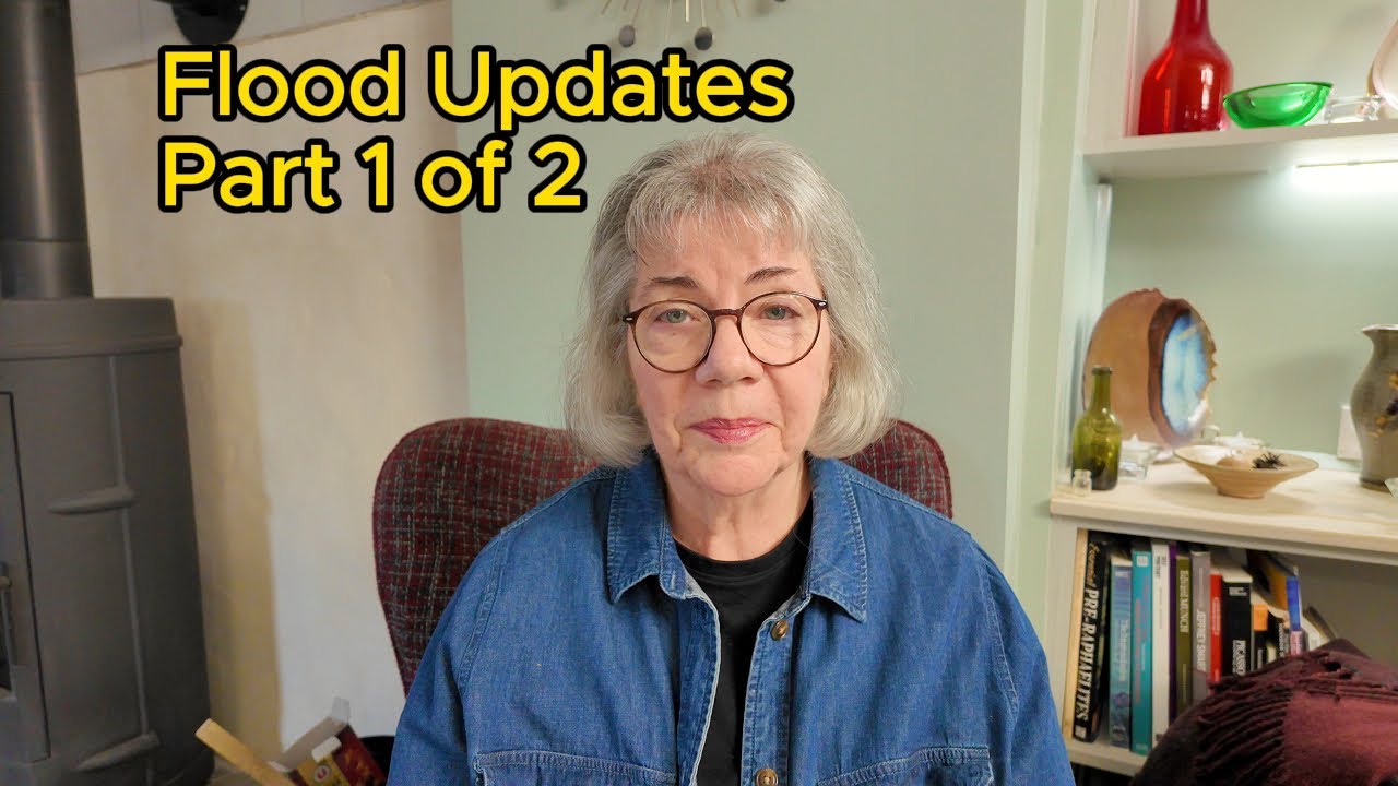 🇫🇷 Вступление Деб к репортажу о наводнении - Часть 1 из 2 | Повседневная жизнь | Пенсионная жизнь...