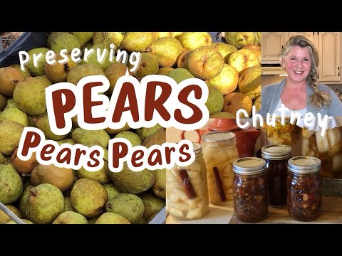 Easy home canned pears two ways…. easy pear Chutney, and homemade pear scrap vinegar.