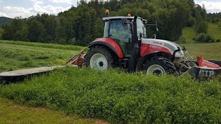 Steyr Multi + SIP - Sudanska trava - MOWING and TEDDING Sorghum Sudan grass