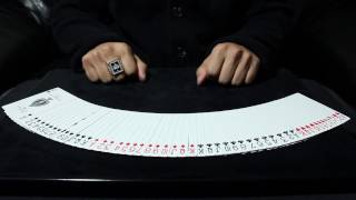 SHADE - CARD WORK