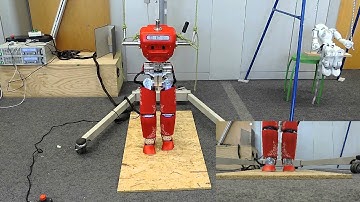 Y2 demonstrator iCubHeidelberg