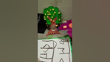 TLM Training #status