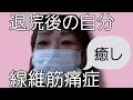 線維筋痛症で退院してきて!癒しを求め観葉植物購入#線維筋痛症